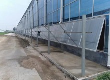 大棚蔬菜建設(shè)后應(yīng)該注意的問(wèn)題