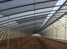 溫室大棚放風(fēng)的科學(xué)方法