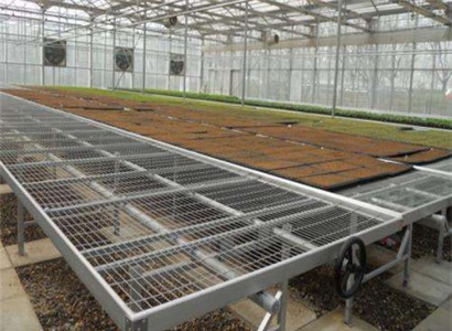 育苗床系統